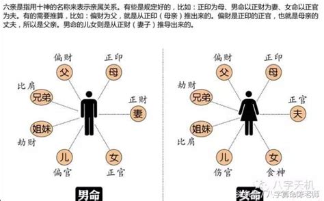 八字六親|八字六親代表－提供看八字 子平八字教學 傳授 論命｜痞客